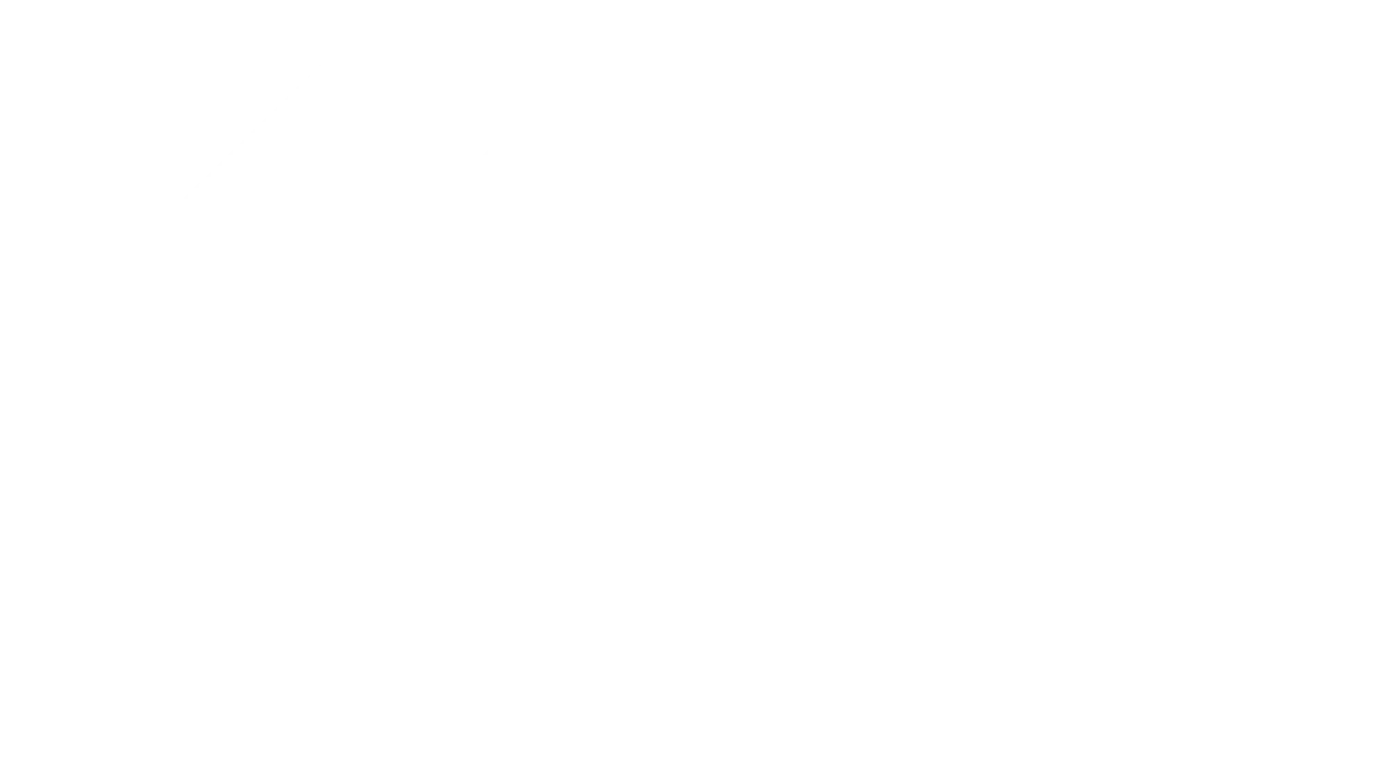 festertoluca.mx